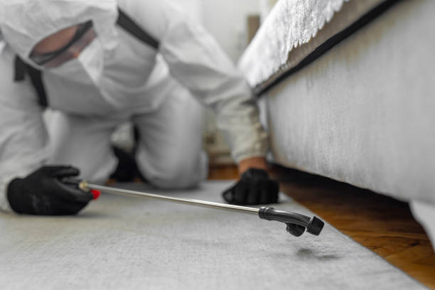 Professional Ant Control technician working in Essex, IL