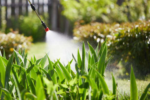 24/7 Emergency Ant Control experts in Essex, IL