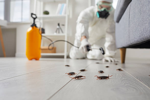 Trusted Cockroach Control service in Essex, IL - Nex Pest Control