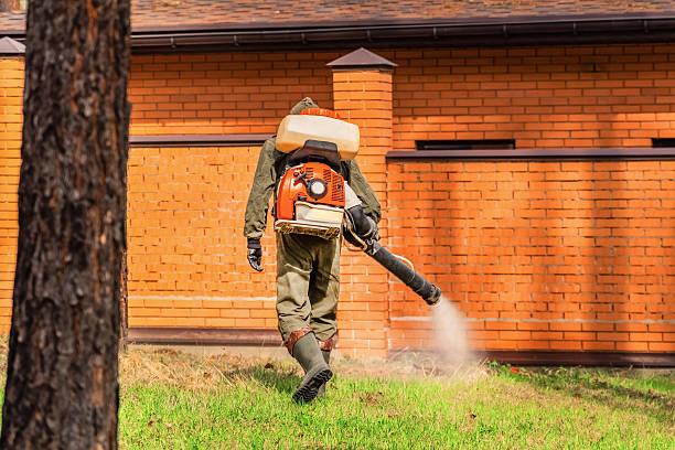 Trusted Rodent Control service in Essex, IL - Nex Pest Control